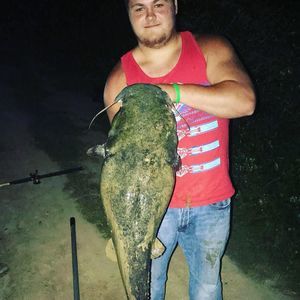 Meet your Posher, Cole